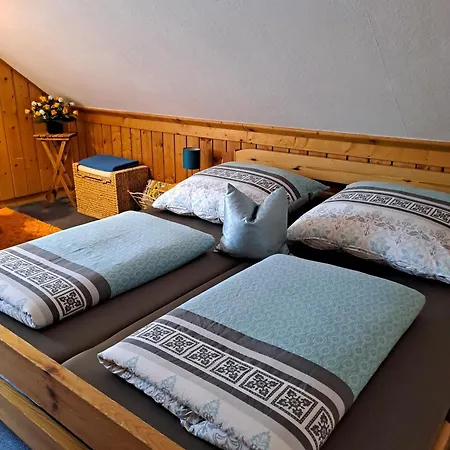 Apartment Kaufmann 1