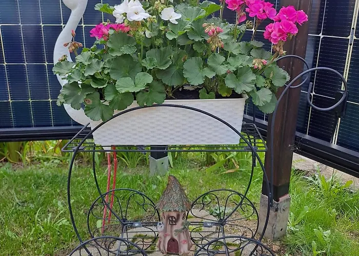 Kaufmann 1 Apartment